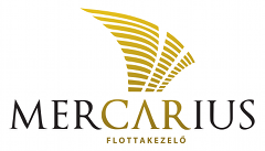 mercarius_final_logo_extrakicsi